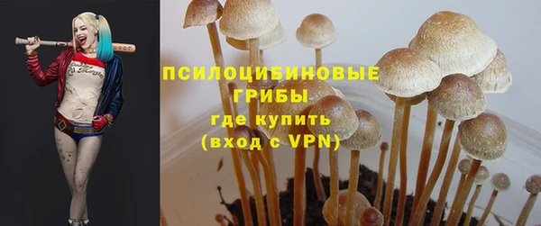 кристаллы Сатка